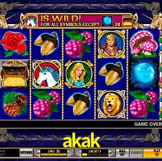 APP oficial da akak para mobile